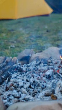 Yiyeceğin pişirildiği ya da pişirildiği alüminyum folyoya sarılı şenlik ateşinde çekilmiş dikey bir video. Genç adam çadır ve bahar ormanlarının yanındaki kamp ateşinde yemek pişiriyor. Kamp ortamı ve açık hava yaşam tarzı konsepti