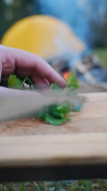 在早春的森林里 男性双手在温暖的篝火和帐篷附近的木制桌子上切新鲜的绿色香菜香菜的垂直镜头 食物健康 旅游及户外烹调概念 — 图库视频影像