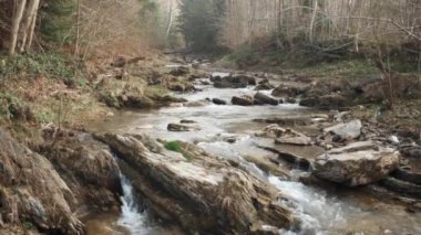 Su, ilkbaharın başlarında görkemli ormanlarda yosun ile kaplanmış taşların üzerinden akar. Kristal berrak suyla dağ nehri. Güzel doğa harikası, yeşil turizm için sessiz bir yer.