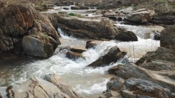Красивый Горный Ручей Река Течет Вниз Холму Спокойный Теплый Весенний — стоковое видео
