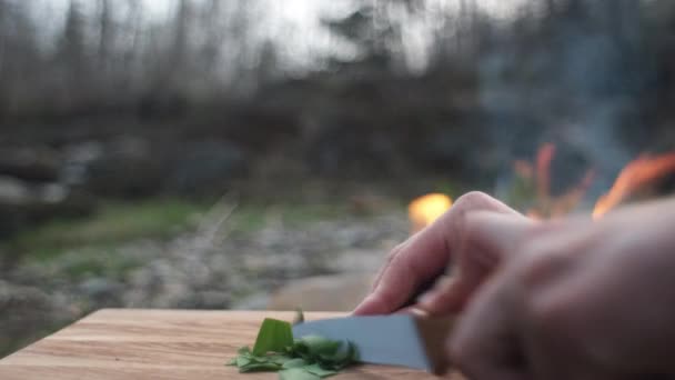 傍晚时分 在春天森林温暖的篝火边 在木板上切绿色野大蒜的雌性小手 火焰和烟的火焰 露营氛围和户外生活方式 — 图库视频影像