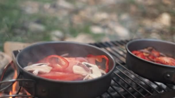 Großaufnahme Von Bratpfannengemüse Mit Tomaten Paprika Und Champignons Lagerfeuer Bei — Stockvideo