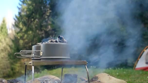 在春天的森林里 用篝火烹调热食 林地营地篝火 自然娱乐 露营的氛围和户外的生活方式 两个营房在篝火边烘烤着 — 图库视频影像