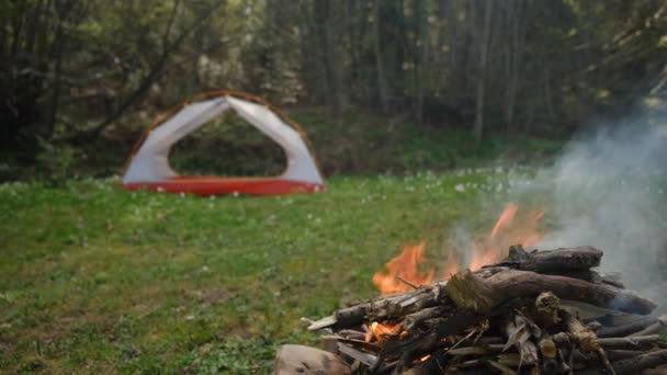 春天森林里的篝火和野营帐篷 让旅游营的篝火平静下来 温暖的夜晚燃烧着的木头 积极的生活方式 远足和露营的概念 趋势度假目的地 — 图库视频影像