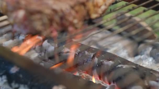 Çerideki Izgaranın Seçici Odak Noktası Kamp Ateşinde Sulu Çiğ Biftek — Stok video