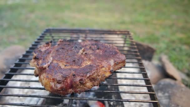 里面有烤肉烤架 篝火上有多汁的牛肉牛排 烤肉的性质 烹调晚餐时 篝火熊熊燃烧 旅行及远足的概念 — 图库视频影像
