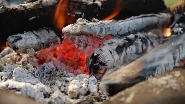 Прекрасний Спокійний Яскравий Вогонь Над Дерев Яними Колодами Літній Або — стокове відео