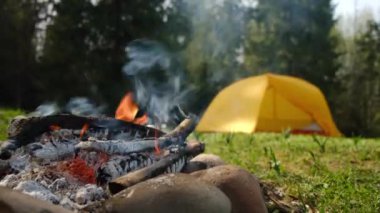 Güzel bahar ormanlarının yakınında kamp ateşi ve sarı kamp çadırı var. Sabah vakti havada kıvılcımlar uçuşan turist şenliği ateşi. Dışarıdaki yaşam tarzları için ilham verici bir kamp yeri.