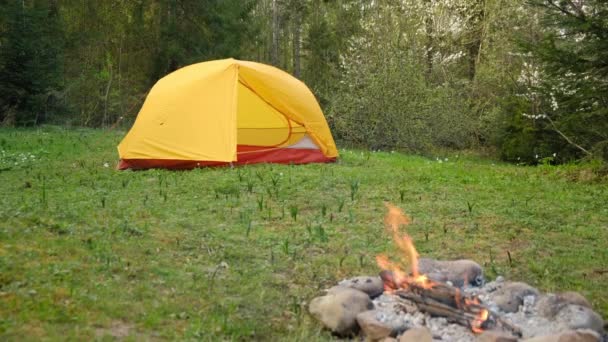 Turist Kampında Şenlik Ateşi Yanıyor Sıcak Bir Akşamda Odun Yakmak — Stok video