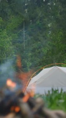 Ormanda kamp ateşi ve çadırın dikey videosu. Turist kampında şenlik ateşi yanıyor. Sıcak bir akşamda odun yakmak. Aktif yaşam tarzı, seyahat, yürüyüş ve kamp konsepti. Trend tatil hedefi