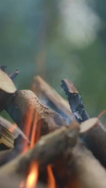 Vertikales Video Einer Schönen Ruhigen Lebhaften Feuerflamme Über Holzstämmen Zur — Stockvideo