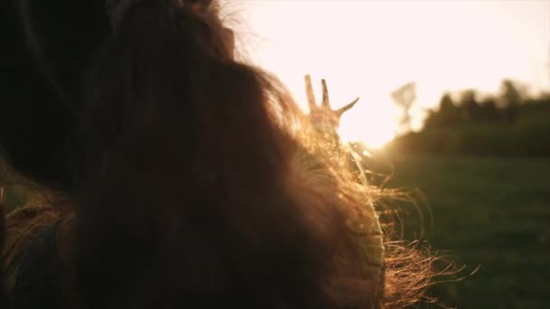 Силует Сновидінь Маленька Дівчинка Тягне Руку Сонця Релігія Допомагає Руці — стокове відео