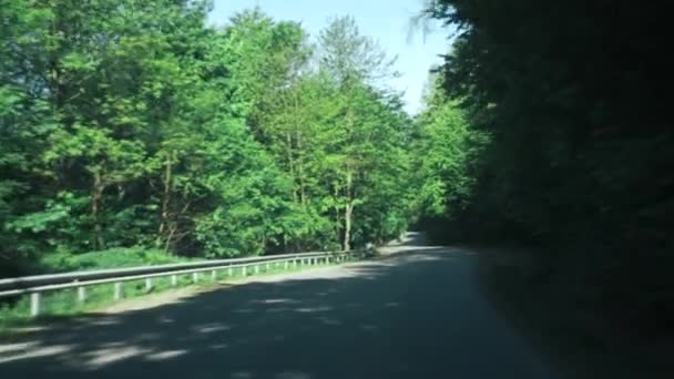 Пов Застрелив Машину Через Гірську Дорогу Біля Весняного Красивого Зеленого — стокове відео