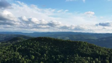 Sıcak yaz mevsiminde Karpatlar 'ın güneşli ışıklarıyla dağlarda yuvarlanan tepelerin havadan görünüşü. Vahşi doğada büyük bir orman. Açık hava seyahati konsepti