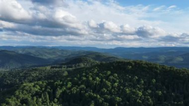 Güzel yeşil ormanın, bulutlu gökyüzünün ve yaz dağlarının hava aracı görüntüsü. Doğa geçmişi. Seyahat, açık hava turizmi, aktif tatil