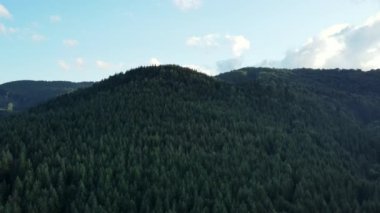Güzel dağların, bulutlu gökyüzünün ve sabahın erken saatlerinde yeşil çam ormanlarının insansız hava aracı görüntüleri. Vahşi doğada büyük bir orman. Açık hava seyahati konsepti