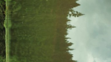 Yaz zamanı Karpatlar 'da güzel dağ gölü ve yeşil ormanın dikey videosu. Ağır çekim. Seçici odak