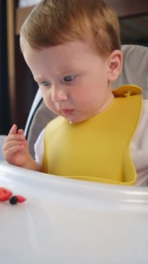 Yüksek sandalyedeki meraklı küçük çocuğun dikey görüntüsü iştah açıcı bir şekilde taze çilek yiyor. Tatlı bebek sulu çilek yer. Tamamlayıcı gıdalar, alerjik maddeler. Sağlıklı gıda konsepti