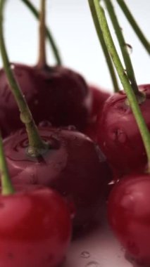 Bir damla suyla kaplı kırmızı kirazların dikey videosu. Taze olgun kirazları yakın çekim. Taze toplanmış kirazlar. Dönüşümlü kiraz hasadı. Organik yaz yemekleri konsepti