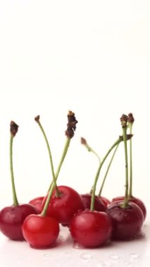 Beyaz arka planda çubuklarla koparılmış olgun kirazların dikey videosu. Seçici odaklanma. Kırmızı kiraz hasadını su damlalarıyla kapatın. Kirazlardan yemek ve meyve suyu