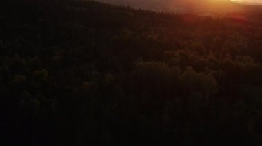 Yaz mevsiminde gün batımının altındaki orman manzarasının hava aracı görüntüsü inanılmaz destansı gökyüzü. Doğa ilham konsepti. Seyahat yerleri için ilham verici seyahat tutkusu ve motivasyon videosu