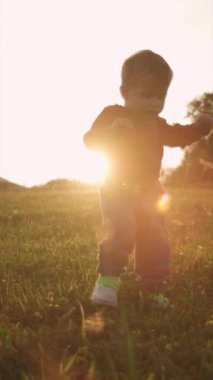 Tatlı bebeğin yaz parkında gün batımında yeşil çimlerde yürümeyi öğrendiği dikey video. Küçük çocuk doğada ilk adımları atıyor. Çocukluk konsepti. Seçici odak