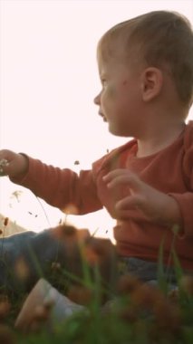 Gün batımında sahada sevimli bir çocuğun dikey videosu. Tatlı bebek arka planda yeşil çimlerde oturuyor sıcak gökyüzünde. Yaz doğasında küçük güzel bir oğul. Aile pikniği kavramı, bahar zamanı. Yavaş çekim