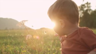 Yaz parkındaki yeşil çimlerin üzerinde oturan sevimli küçük çocuk portresi inanılmaz sıcak günbatımında. Çok tatlı bir bebek güzel doğanın tadını çıkarıyor. Aktif hafta sonu konsepti. Yavaş çekim