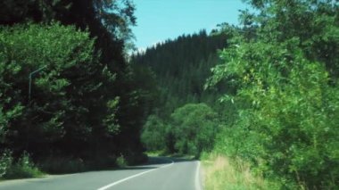 Güneşli bir günde, yaz ormanı yakınlarında, dağlarda, yolda araba süren POV, maceralara ve yeni deneyimlere, aktif gençlerin yolunda yaşam tarzına gidiyor. Yavaş çekim