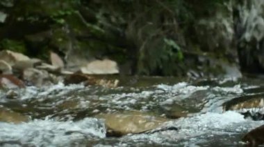 Ulusal parktaki doğal su akışına yakın, doğal alanı ya da rezervi korumalı. Güçlü dağ suyu akıntısı ya da nehir yaz sonlarında sakin güneşli bir günde tepeden aşağı akar. Doğa bileşimi