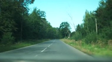 Kırsal kesimde beyaz işaretli içeriden araba kullanan ülke manzarası. Araba sabah güzel manzaralı orman yolunda gidiyor. Seyahat kavramı