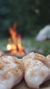 Çiğ et filetosuna tuz ve biber serpiştiren ve pişirmeye hazırlayan bir kadının dikey görüntüsü. Kamp ateşinin yanında marine edilmiş et. Kamp ortamı ve açık hava yaşam tarzı konsepti