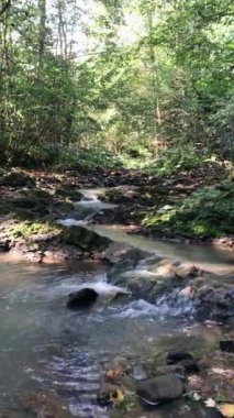 Ulusal parktaki doğal su akışının dikey videosu, koruma altındaki doğal alan veya rezerv. Güçlü dağ suyu akıntısı ya da nehir sonbaharın sonlarında güneşli bir günde tepeden aşağı akar. Doğa bileşimi