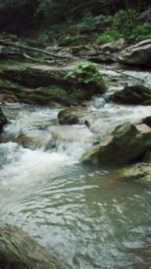 Kayaların arasından akan vahşi dağ nehrinin dikey videosu, sonbahar günü ormanın derinliklerinde akan temiz su nehri. Doğa konsepti