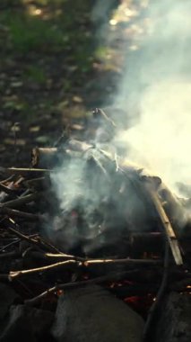 Günbatımında sonbahar ormanında kamp ateşinin dikey videosu. Sakin şenlik ateşi, yazın eski odunları yakmak. Aktif yaşam tarzı, seyahat, yürüyüş. Kamp havası ve açık hava yaşam tarzı.