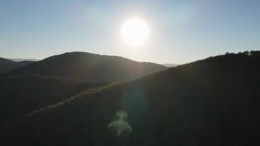 Muhteşem günbatımında ya da gün doğumunda güzel bir ormanın ve mavi gökyüzünün muhteşem cennet manzarası. Sakin bir sonbahar gününde görkemli ormanlık ve dağların üzerinde drone ile uçmak. Doğa konsepti