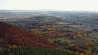 Sıcak sonbahar sabahları kırsal ve renkli ormanların ilham verici insansız hava aracı görüntüleri. Açık hava yaşam tarzı sağlıklı ve temiz hava için. Gezgin şehvet, doğa konsepti