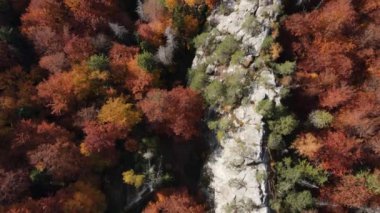 Devasa dik duran kayalar arasındaki hava aracı görüntüsü megaliths park, doğal manzara ilham verici. Turist eğlencesi. Kayalık dağ yamaçlarında sonbahar mevsimi sarı ormanı. Güneşli bir gün