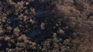 Sonbahar sabahı sisli, görkemli renkli ormanın insansız hava aracı görüntüleri. Dağlar ulusal parkı ya da rezervi korudu. Bulutlar tepelerden yuvarlanır. Gezgin şehvet konsepti