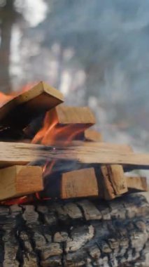Kışın ahşap odunların üzerinde güzel, sakin, canlı bir ateş alevinin dikey videosu. Açık havada kamp ateşi var. Şenlik ateşine yakın, yanan kütükler. Isı, kamp, doğa eğlence konsepti.