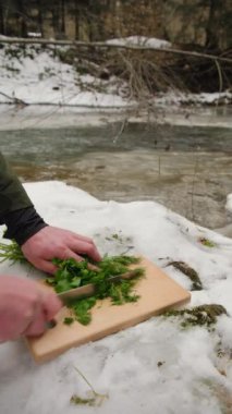 Erkek ellerinin taze yeşil kişniş maydanozunu tahta masada kestiği dikey video. Kış dağları nehrinin yanında bıçakla. Yiyecek sağlıklı, seyahat ve açık hava yemekleri.