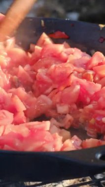 Bilinmeyen bir gencin kışın tavada çürüyen kırmızı biber ve baharatlarla domates pişirdiği dikey görüntüler. Kamp ortamı, doğa ve açık hava yaşam tarzı. Yemek pişirme konsepti