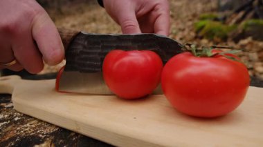 Genç adama yakın çekim, ilkbahar ormanlarında domatesleri tahta tahtada keser. Taze sebze dilimleme kavramı. Taze salata vejetaryen mutfağı pişirmek için sebze dilimliyorum.