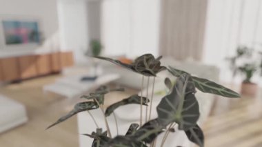 3d video rendering footage contemporary interior design of the living room. Stylish interior of the living room