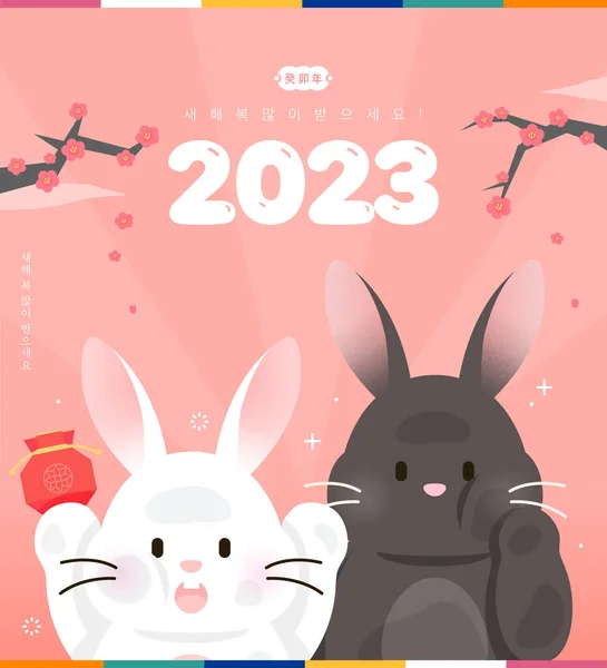 2023金鱼年兔子人物形象图解 — 图库矢量图片