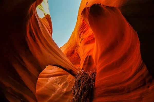 Nedre Antelope Canyon Arizona Usa Det Ligger Navajo Mark Nära — Stockfoto