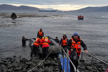 CAPE HORN, CHILELE- 3 Şubat 2020: Turistler Şili 'deki Tierra del Fuego fiyortları sırasında Horn Burnu' nda 