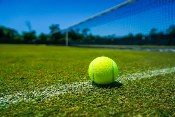 Tennisball Auf Rasen Tennisplatz — Stockfoto