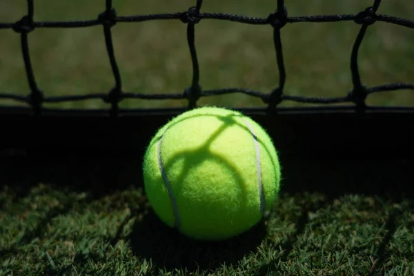 Тенісний Трав Яному Тенісному Корті — стокове фото