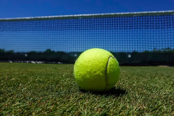 Tennis Ball Grass Tennis Court — Stock Photo, Image